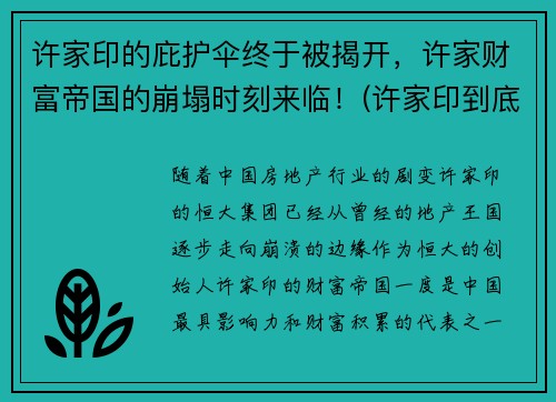 许家印的庇护伞终于被揭开，许家财富帝国的崩塌时刻来临！(许家印到底是个什么来头)