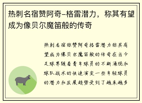 热刺名宿赞阿奇-格雷潜力，称其有望成为像贝尔魔笛般的传奇