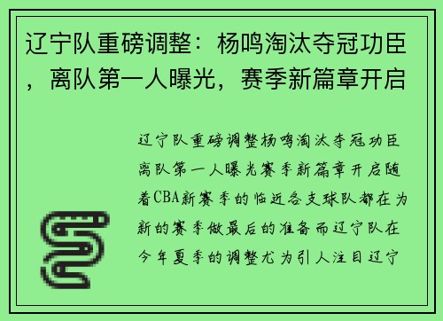辽宁队重磅调整：杨鸣淘汰夺冠功臣，离队第一人曝光，赛季新篇章开启
